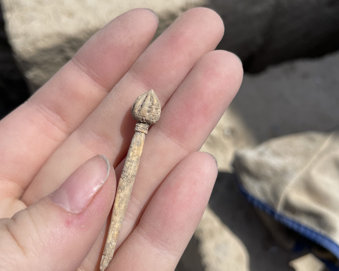 The hair pin found in the well